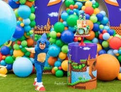 Sonic Birthday Party Decoration Ideas