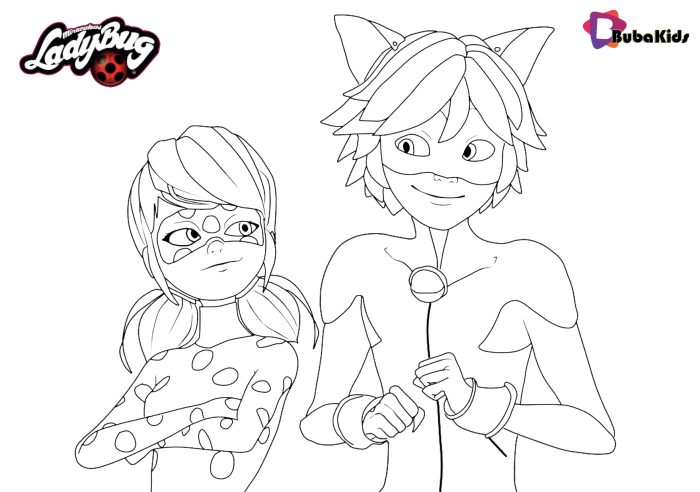 Miraculous ladybug coloring book