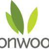 Ironwood Pharmaceuticals Stock Price Analysis