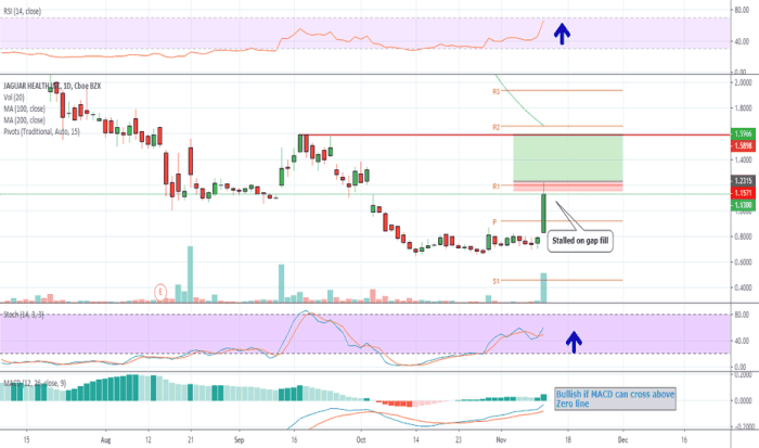 Jagx stock price target