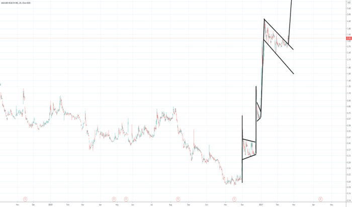 Jagx stock price target