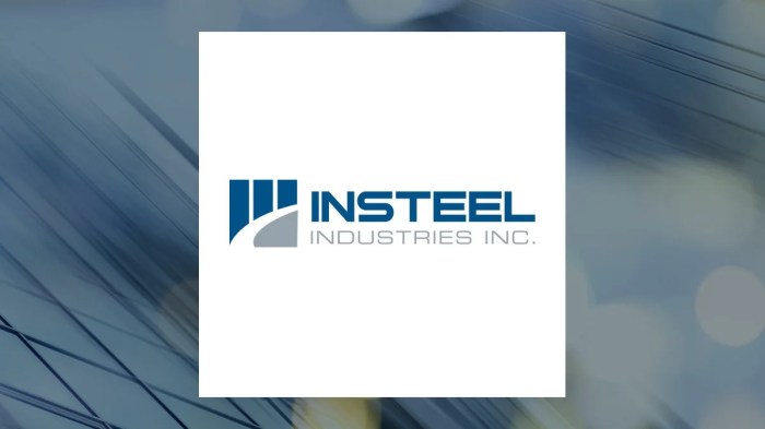 Insteel stock price